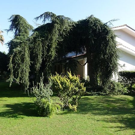 Villa Paradiso Le Rughe Eksteriør billede